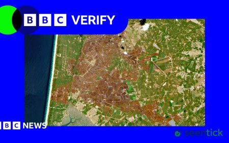 Scorched Europe Landscape Revealed in Satellite Images After Record-Breaking Heatwaves