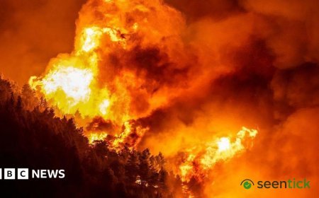 Croatia hit by devastating wildfires that leave dozens injured and thousands evacuated.