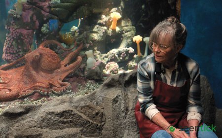 Sally Field Earns 10th Emmy Nomination for Netflix Adaptation