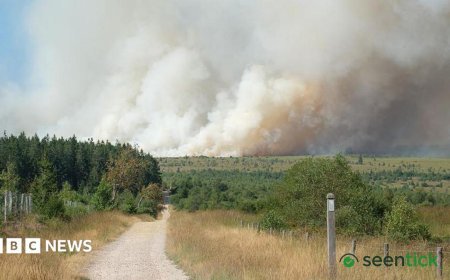 Wildfire engulfs Belgiums High Fens nature reserve, prompting widespread evacuation orders.