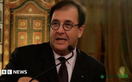 French ambassador to CAR accused of bringing women to official residence faces disciplinary action