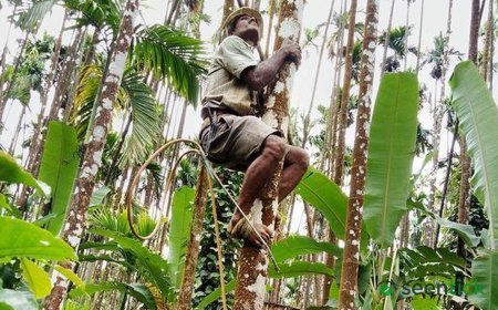 Politicians from areca growing areas oppose ban on sale of gutka, pan masala