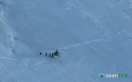 Indian Army pilots pull off daring rescue at 18,600 feet near Nun Kun