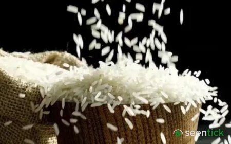 India's rice bowl gets global audience as 3,317 buyers sign up for BIRC 2026