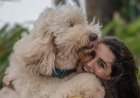 International Dog Day | Vedika Pinto: We need compassion for street dogs