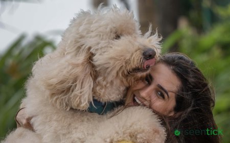 International Dog Day | Vedika Pinto: We need compassion for street dogs