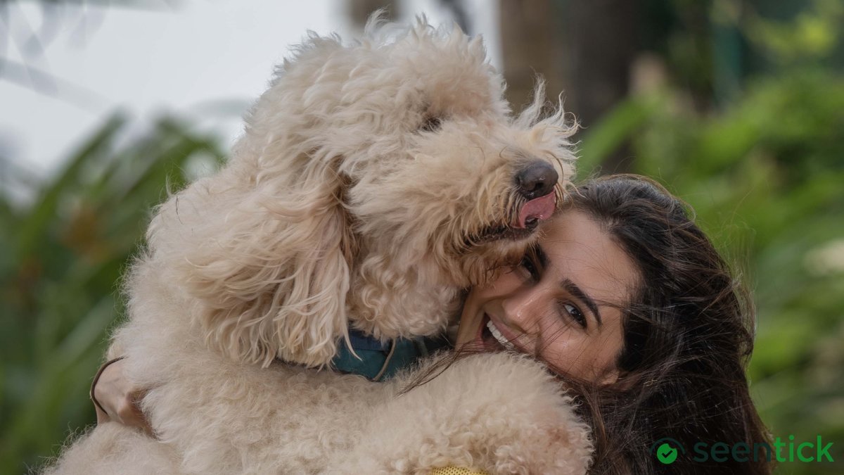 International Dog Day | Vedika Pinto: We need compassion for street dogs