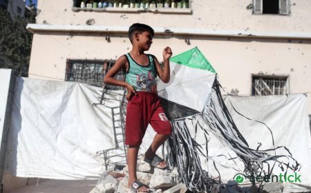 Israel warns of 'forceful' response to kites flown from Gaza