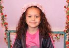 Israeli army orders criminal investigation into killing of Palestinian girl Hind Rajab in Gaza
