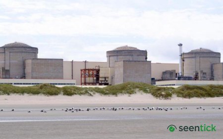 Jellyfish force partial shutdown of French nuclear plant