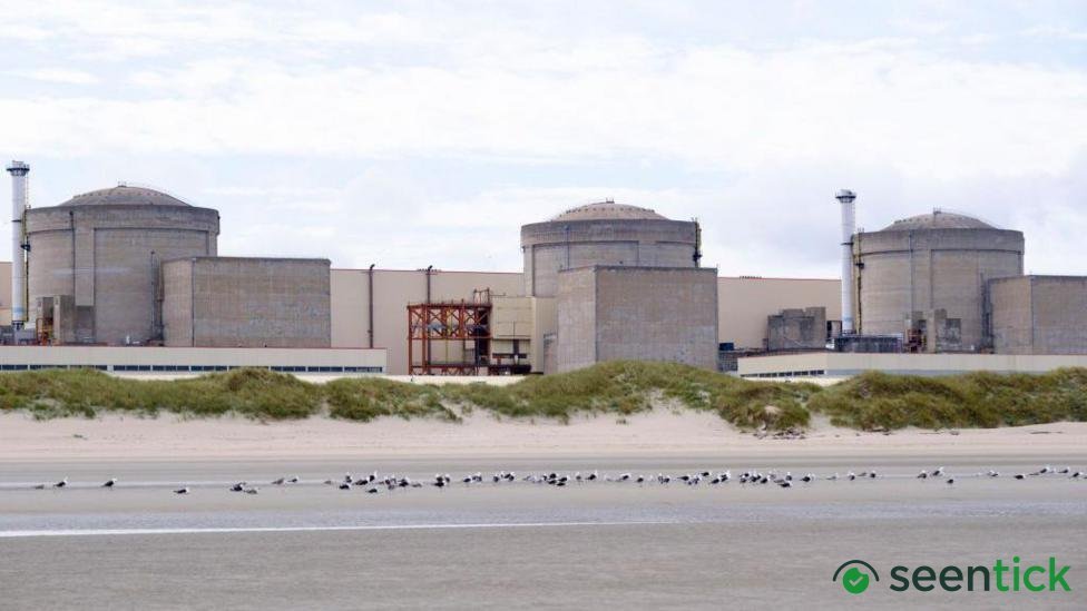 Jellyfish force partial shutdown of French nuclear plant