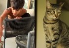 Kiran Rao is paying tribute to her late cat Miri, remembering her