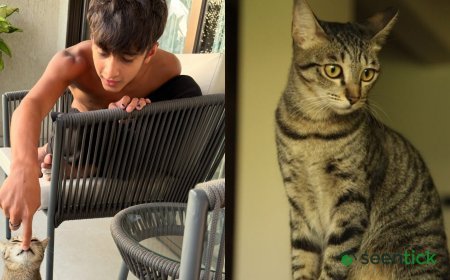 Kiran Rao is paying tribute to her late cat Miri, remembering her