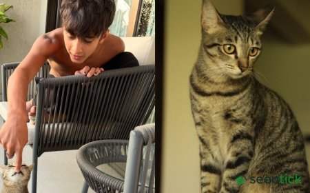 Kiran Rao mourns the death of her cat Miri after son Azad's