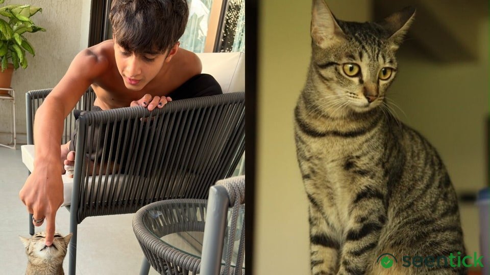 Kiran Rao mourns the death of her cat Miri after son Azad's