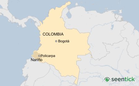 Landslide at unlicensed Colombian gold mine kills 13