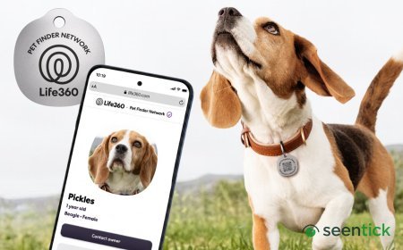 Life360 expands pet tracking with new $8 scannable tags and zoomie alerts