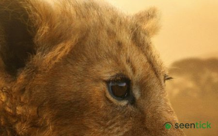 National Geographic presents Lion, a new docuseries which follows the 4-year journey of a cub in Kenya’s Maasai Mara
