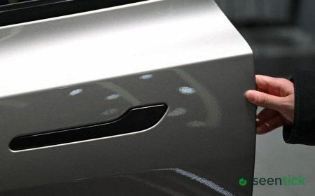 Nearly 3 million Teslas recalled in China over hidden door handles