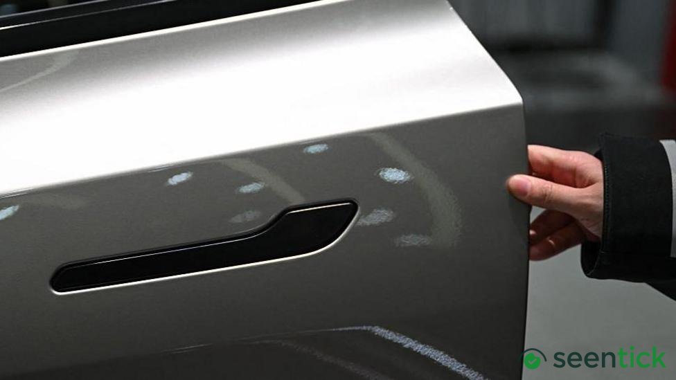 Nearly 3 million Teslas recalled in China over hidden door handles