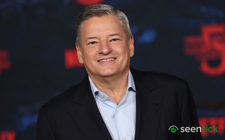 Netflix CEO Says 'Nothing In The Data' Could Have Predicted One Of The Streamer's Biggest Shows