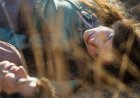 Netflix’s Best New Show Lands A 100% Rotten Tomatoes Review Score