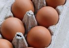 One dead and hundreds ill in UK salmonella outbreak