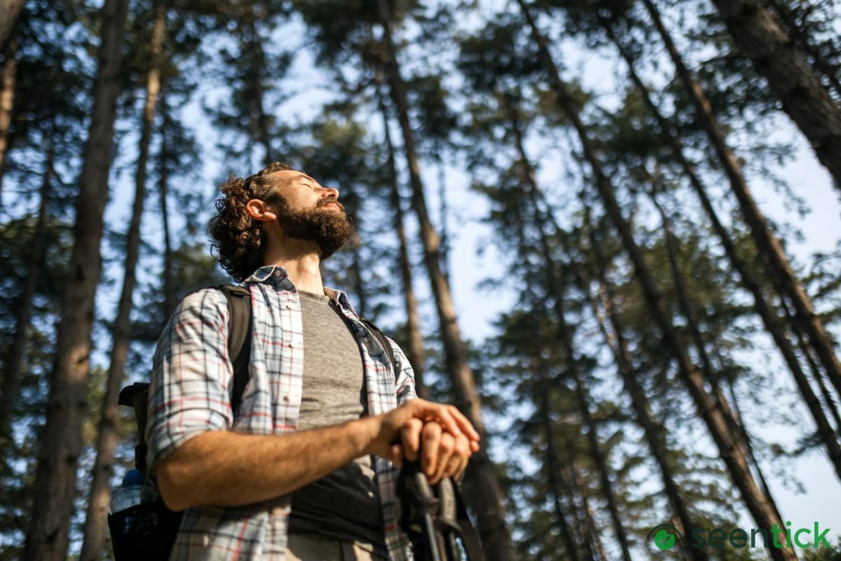 Outstanding ‘Into The Woods’ Explores Forests Anew And Stirs Ways That AI Can Reimagine Nature Journeys