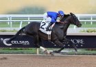Pacific Classic Offers Breeders’ Cup Berth And $1 Million Purse