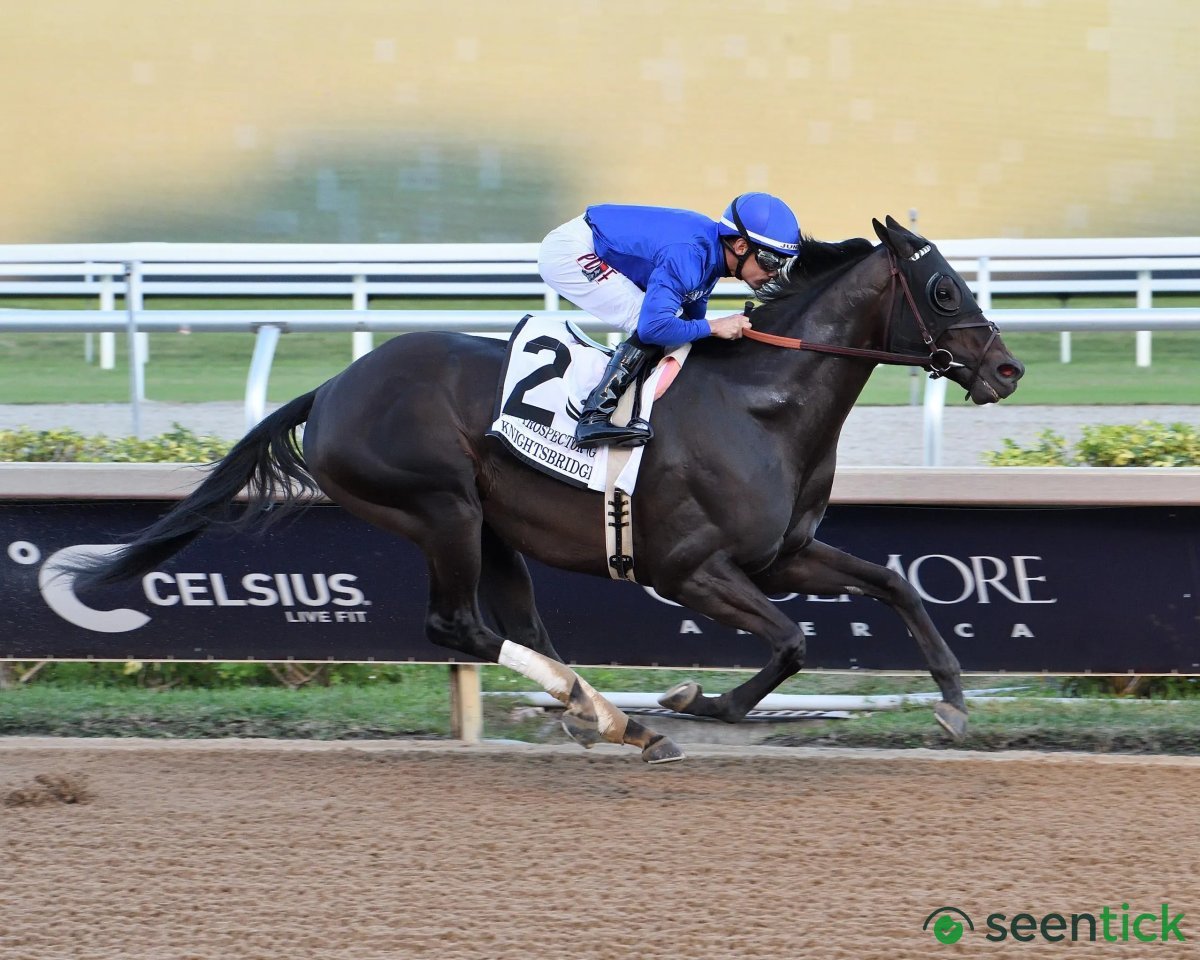 Pacific Classic Offers Breeders’ Cup Berth And $1 Million Purse