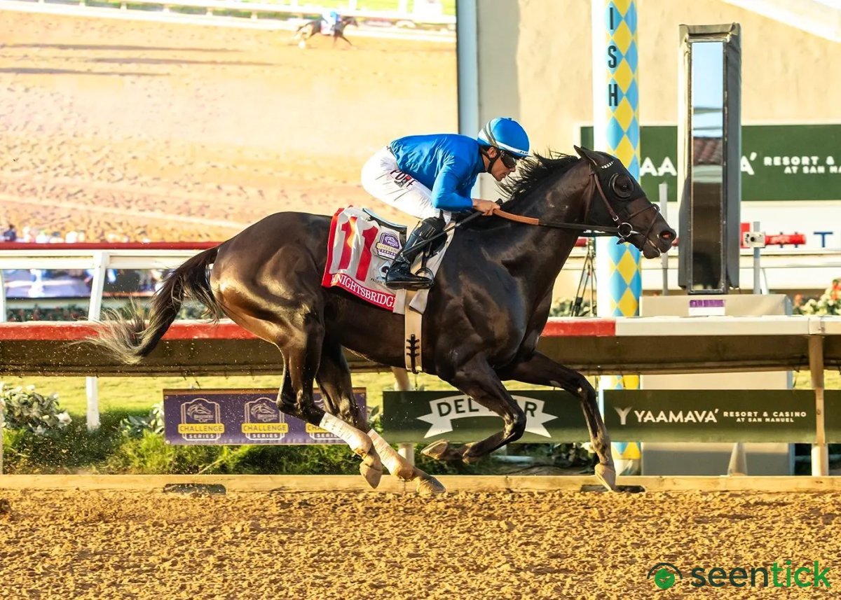 Pacific Classic Win By Knightsbridge Adds Intrigue To Breeders’ Cup