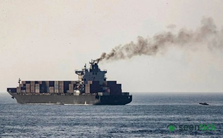 Panama-flagged ship with 24 crew members sinks off Odisha coast