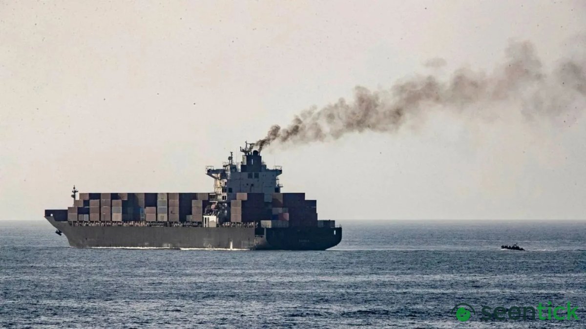 Panama-flagged ship with 24 crew members sinks off Odisha coast