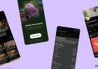 Patreon launches 30 new creator features, including short-form Clips and revamped discovery
