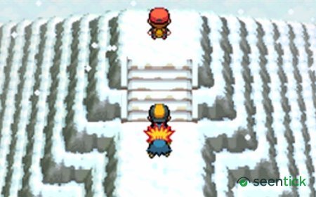 Pokemon Gold and Silver keep getting referenced by official accounts, and I'm willing myself to believe the classic DS remakes are coming to Switch