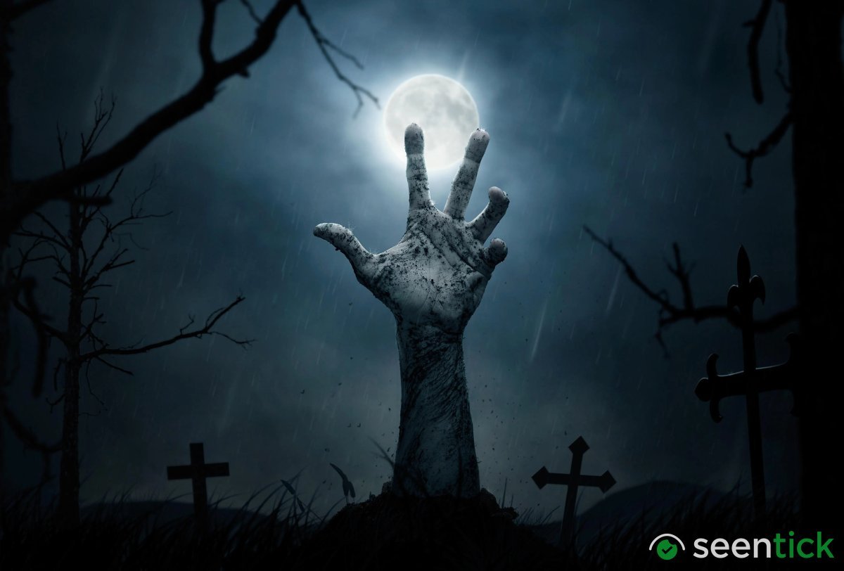 Private Equity’s Zombie Problem Is A Challenge For Banks