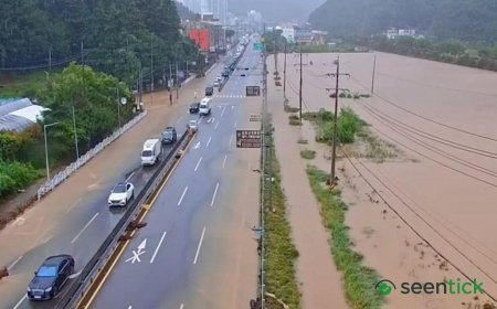 Record rains drench South Korean city as landslide kills one