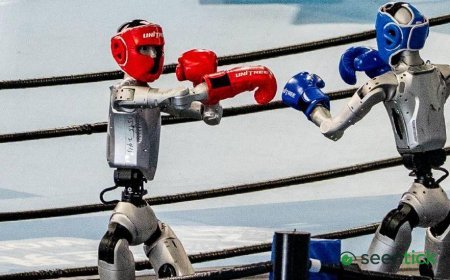 Robots compete in boxing, football and sprinting at World Humanoid Games