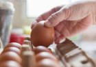 Salmonella outbreak: What we know so far