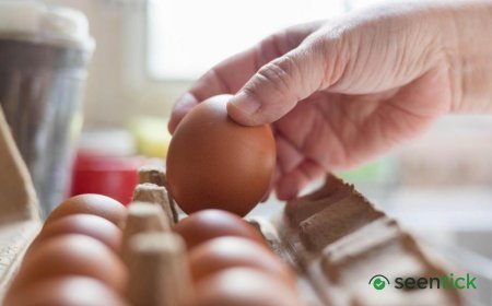 Salmonella outbreak: What we know so far