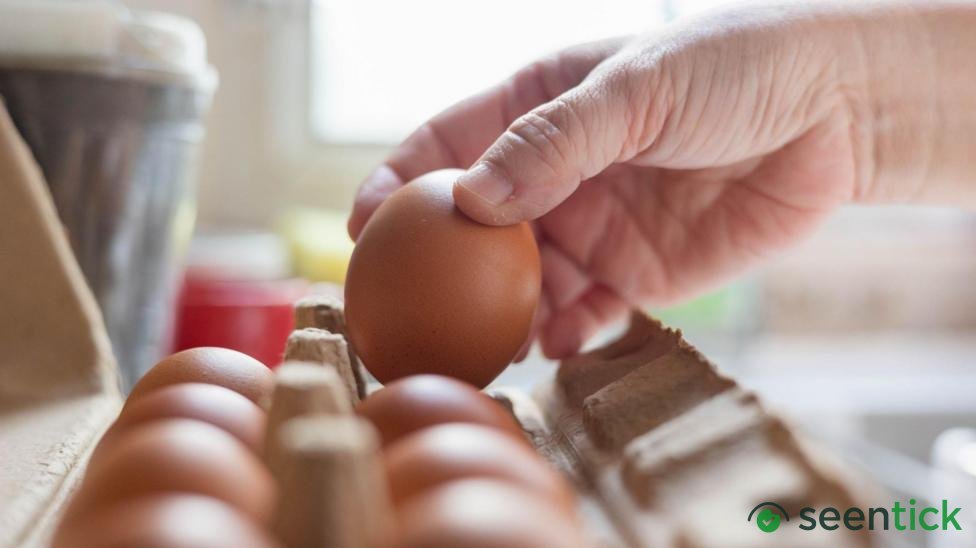 Salmonella outbreak: What we know so far