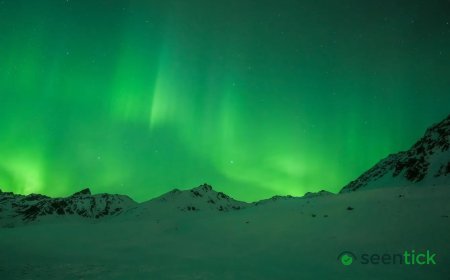 See the Northern Lights: Where to Watch and Best Times to Spot the Spectacle