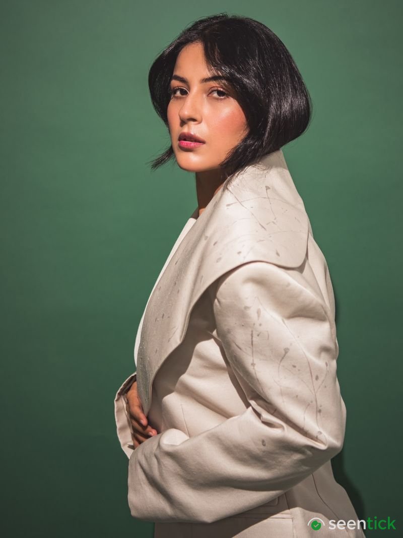 Shehnaaz Gill Arrives as Jasneet Kaur in the Singh vs Kaur 2 trailer