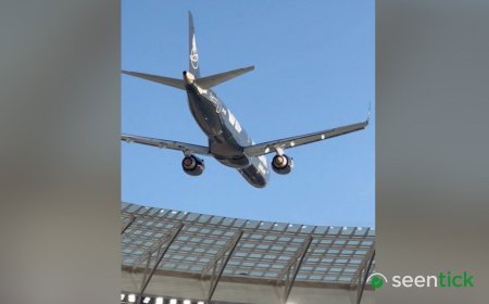 South African airline defends low-altitude aerial stunt over packed stadium