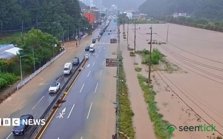 South Korea Hit by Deadly Landslide Amid Record Rainfall