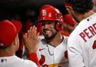St. Louis Cardinals 4 Quality Catchers Becomes A Team Strength.