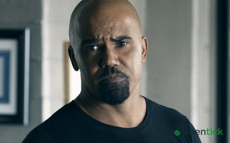 S.W.A.T. Exiles Cast: List Of Characters Not Returning For Spin-Off