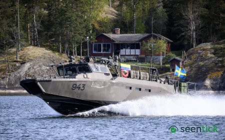 Swedish military seeks to take over Russian-owned estate near naval base