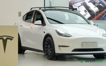 Tesla recalls 3 million cars as part of China-wide push to stop hidden door handles