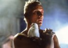 The 10 Best-Looking Movies of the 20th Century, Ranked